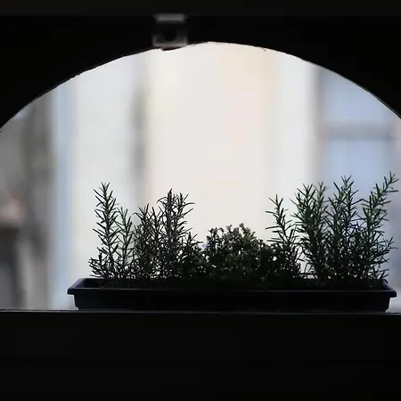 Apartamento Le Relais De La Maison Bacou