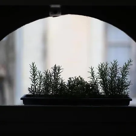 Lägenhet Le Relais De La Maison Bacou